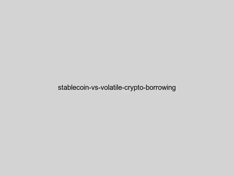Comparison of stablecoin borrowing versus volatile cryptocurrency borrowing strategies